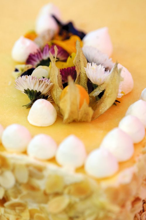 CakeCatering galéria 42